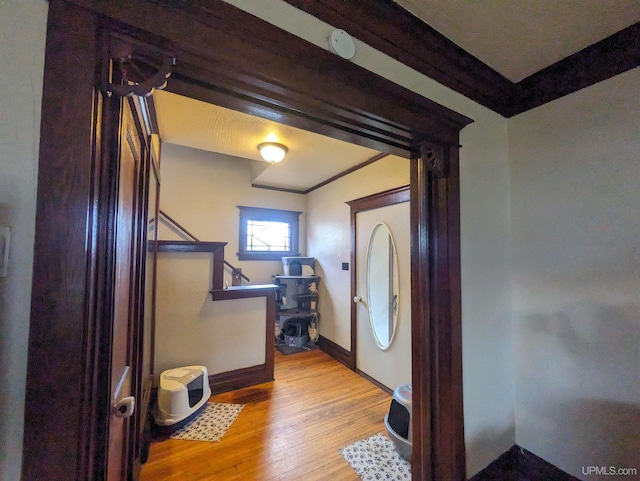 entrance foyer with light hardwood / wood-style flooring