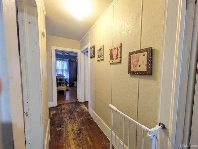 hall featuring dark hardwood / wood-style floors and ornamental molding