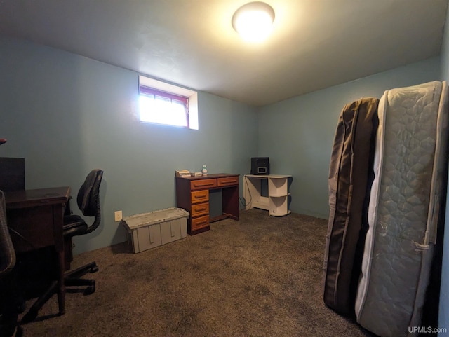 home office with dark carpet