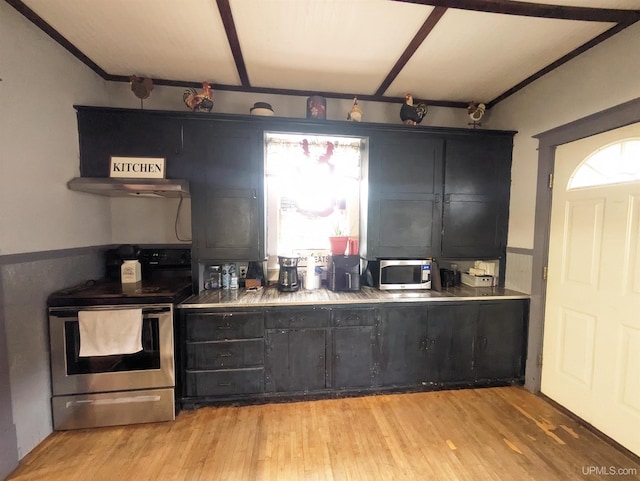 kitchen with stainless steel appliances, exhaust hood, and light hardwood / wood-style flooring