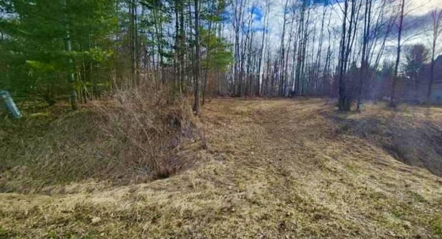 LOT187 Greensboro Way, Gladwin MI, 48624 land for sale