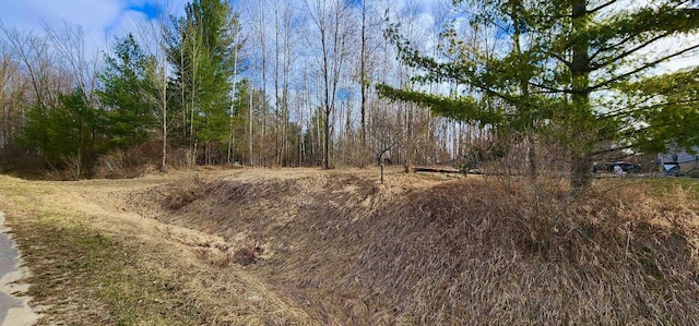 Listing photo 2 for LOT187 Greensboro Way, Gladwin MI 48624