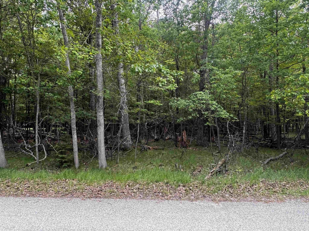 6039 Country Club 19.25 Ln, Gladstone, MI 49837