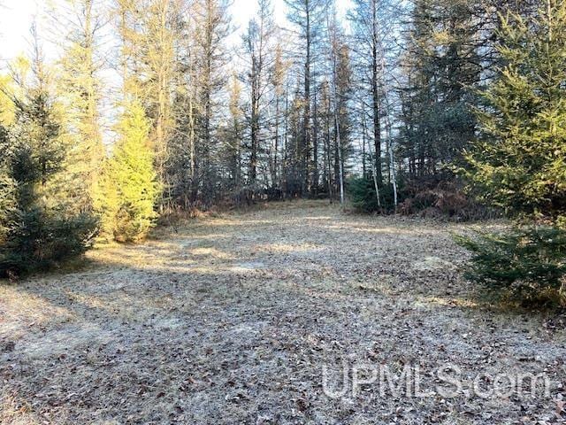 11812 E Howen Rd, Fence T-Wi WI, 54542 land for sale