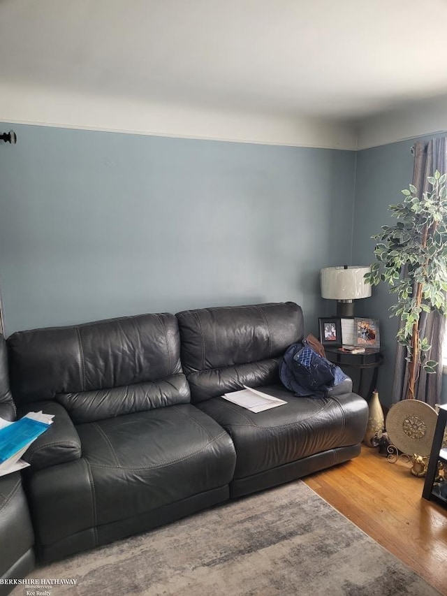 living room with hardwood / wood-style flooring