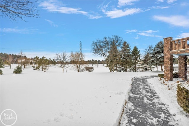 view of yard layered in snow