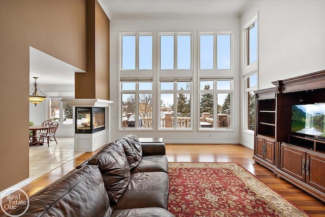 living room with a multi sided fireplace, light hardwood / wood-style floors, and crown molding