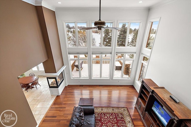 living room featuring ceiling fan and ornamental molding