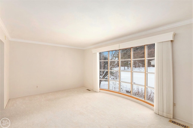 empty room with carpet flooring and crown molding