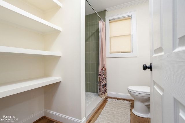 bathroom featuring a shower with curtain, toilet, and wood-type flooring