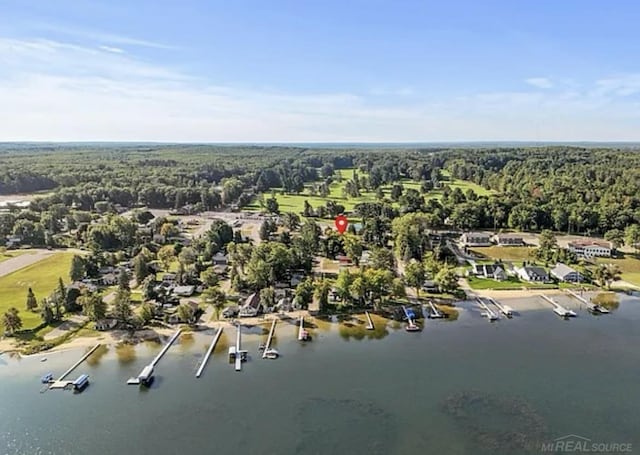 bird's eye view with a water view