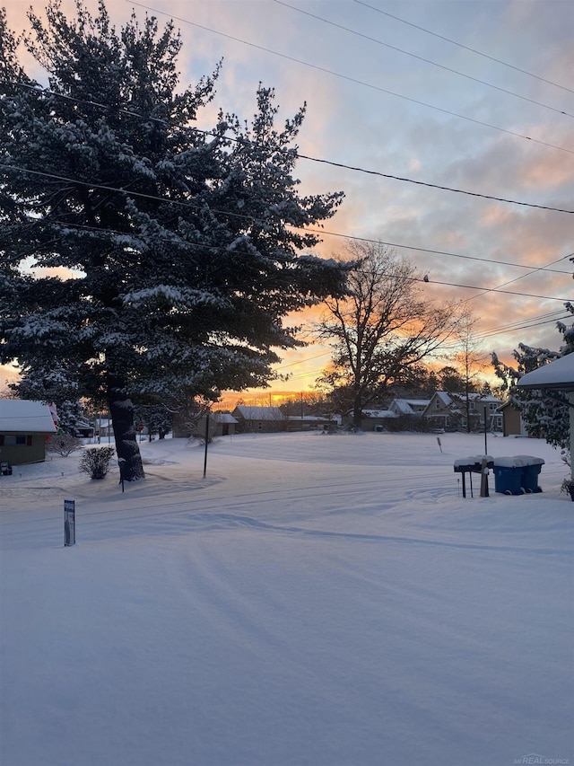 view of yard covered in snow