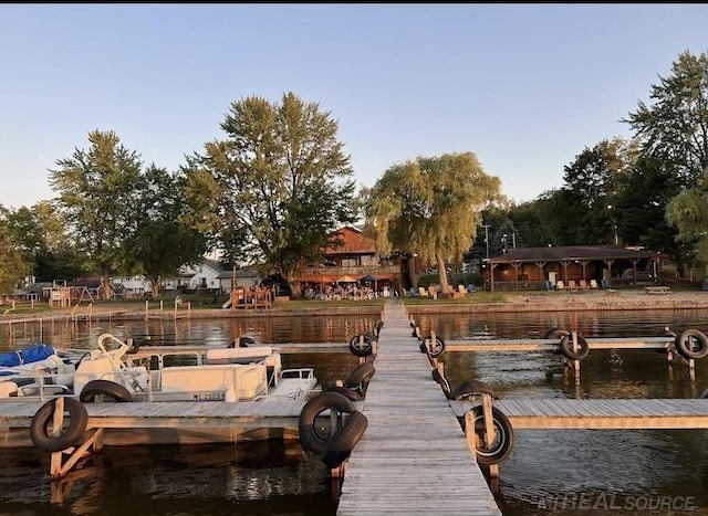 dock area with a water view