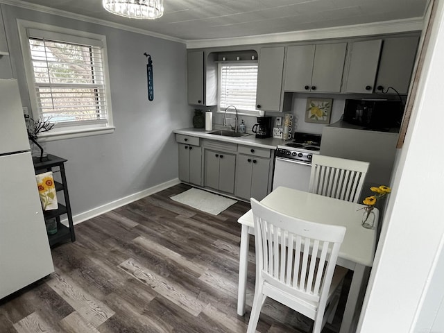 kitchen with white appliances, a sink, crown molding, gray cabinetry, and dark wood-style flooring