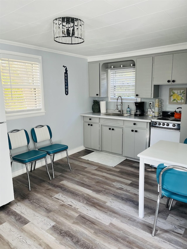 kitchen featuring white range with electric stovetop, wood-type flooring, ornamental molding, and sink