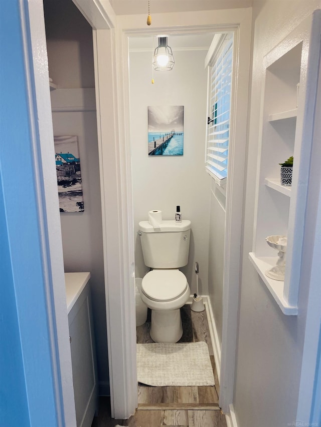 bathroom with hardwood / wood-style floors and toilet