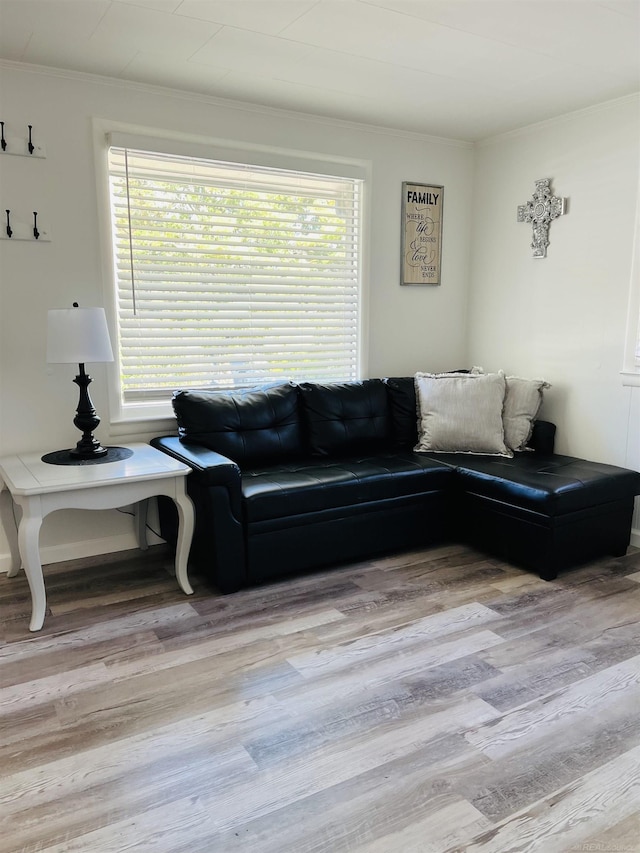 living room featuring light wood-type flooring and crown molding