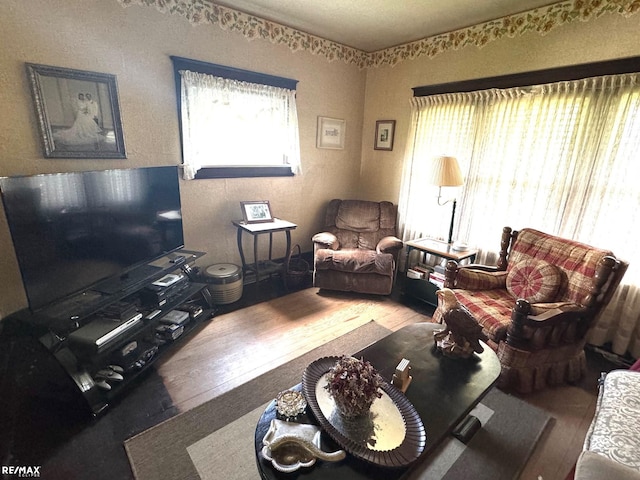 living room featuring wood-type flooring