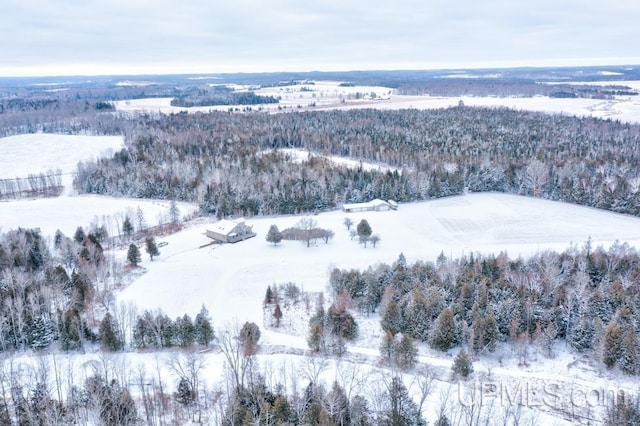 view of snowy aerial view