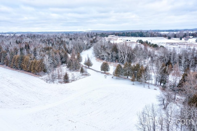 view of snowy aerial view