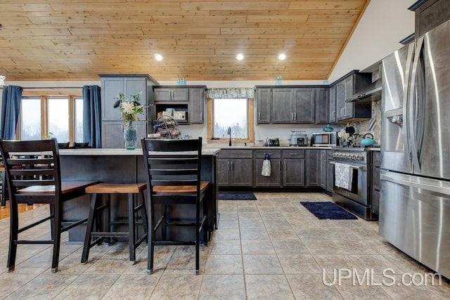 kitchen with lofted ceiling, a healthy amount of sunlight, appliances with stainless steel finishes, and wooden ceiling