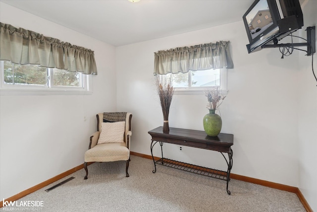 sitting room with carpet floors