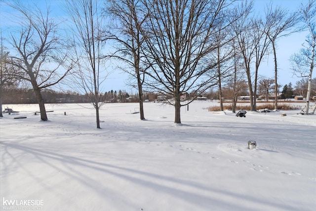 view of yard layered in snow