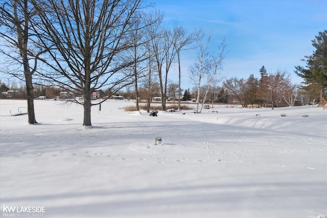 view of yard layered in snow