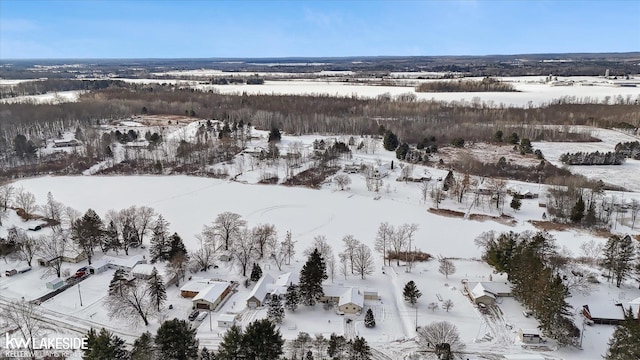 view of snowy aerial view