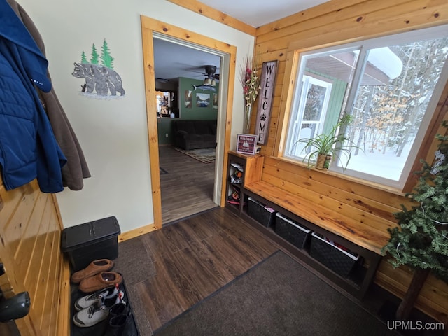 mudroom with dark wood-type flooring and wood walls