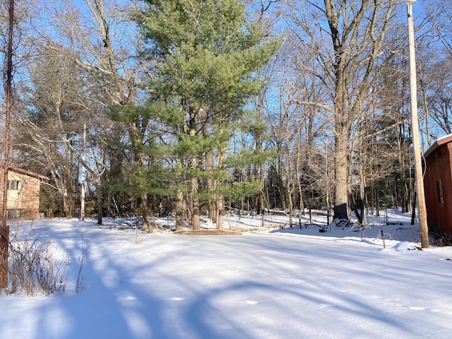 view of yard covered in snow