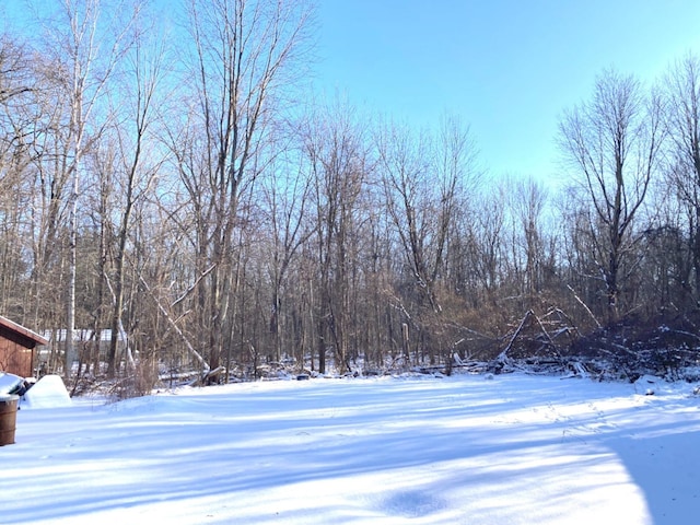 view of yard layered in snow