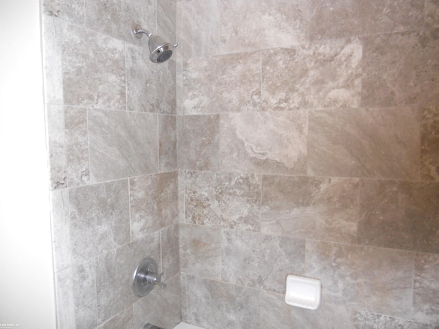 interior details featuring tiled shower / bath