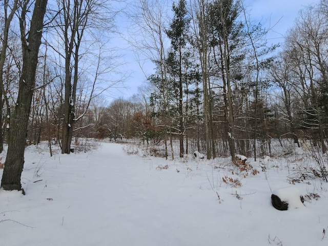 view of snowy yard