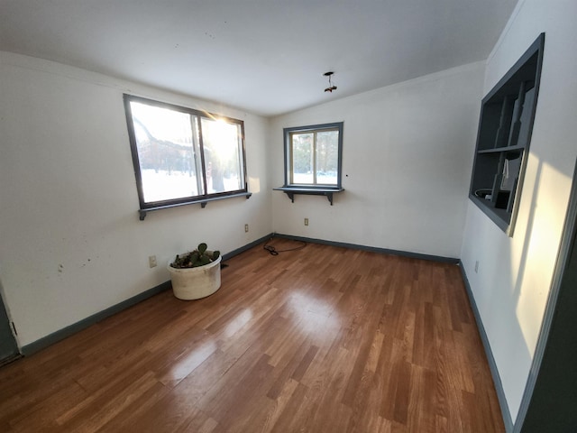 empty room featuring lofted ceiling and wood-type flooring