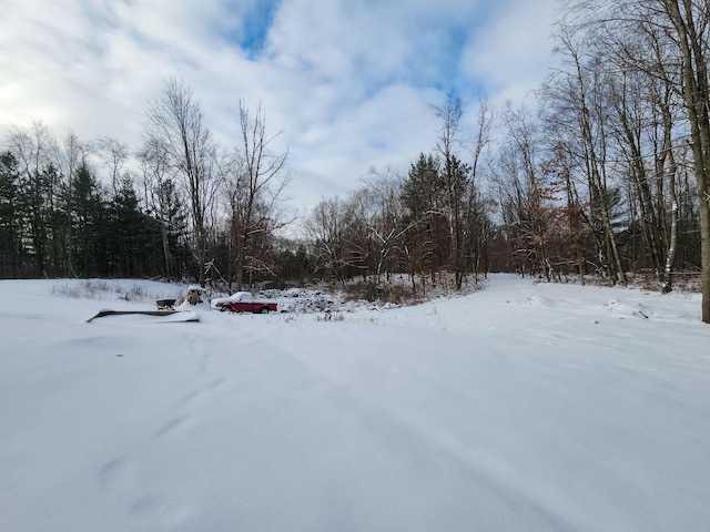 view of snowy yard