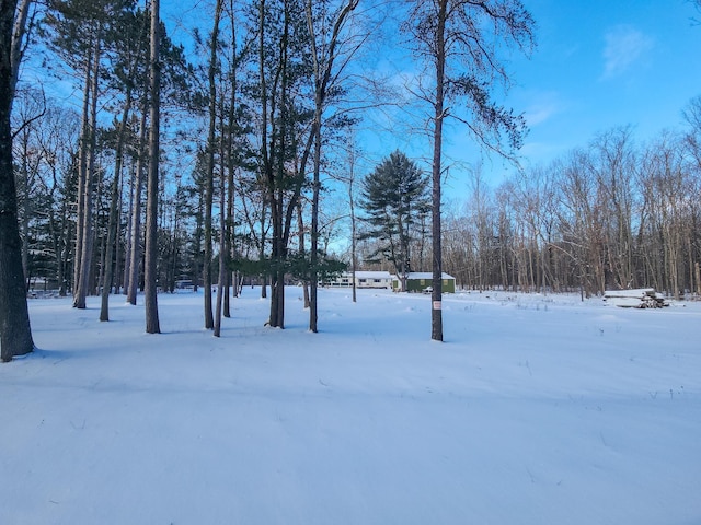 view of snowy yard