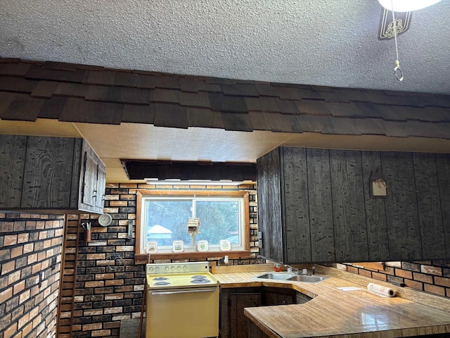 kitchen featuring sink, wooden walls, brick wall, and range with electric stovetop