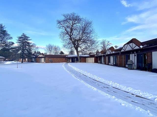 view of snowy yard