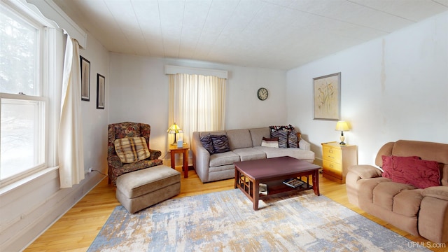 living room with light hardwood / wood-style flooring