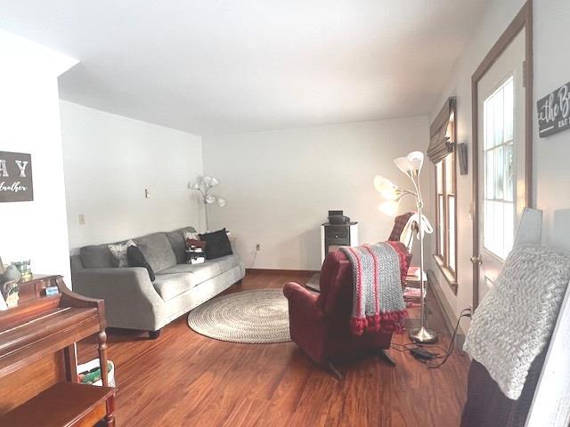 living room featuring hardwood / wood-style floors