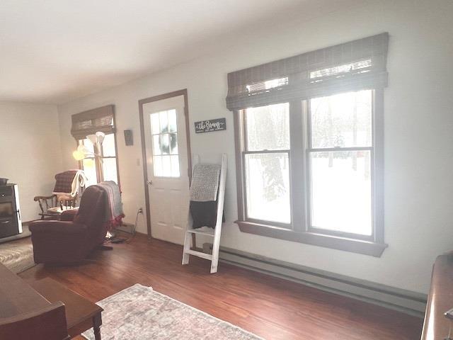 living room featuring a healthy amount of sunlight and dark wood-type flooring