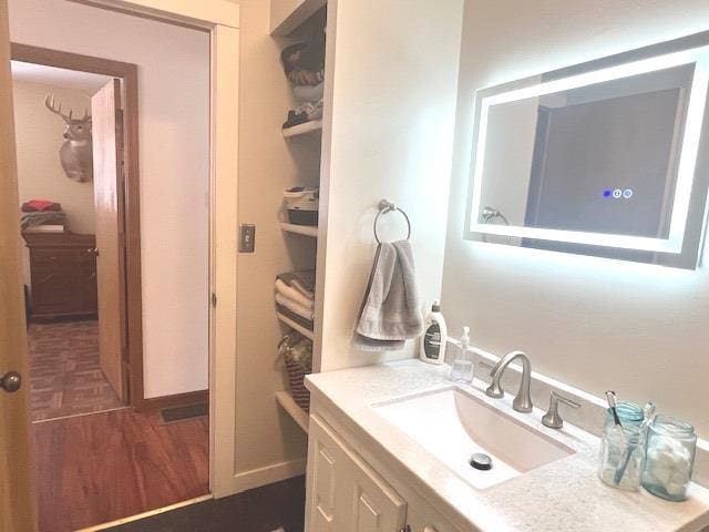 bathroom featuring wood-type flooring and vanity