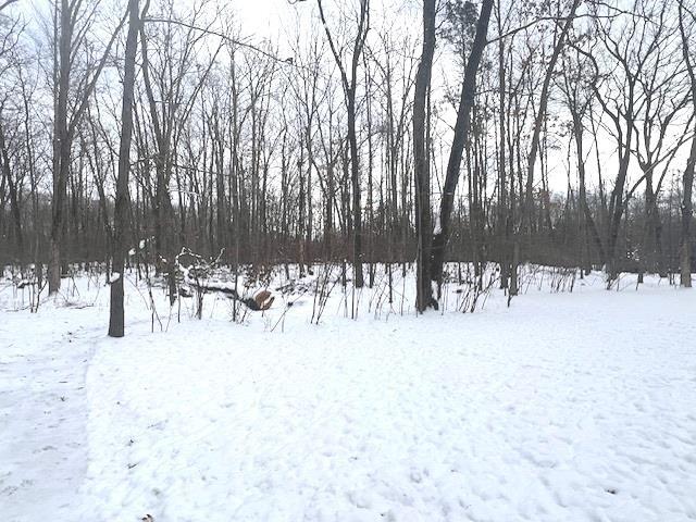 view of yard layered in snow