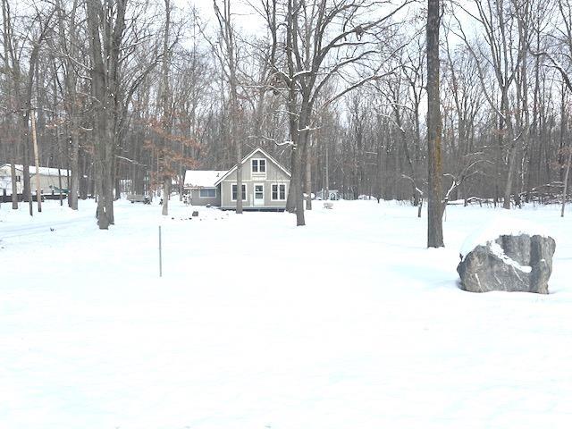 view of yard layered in snow