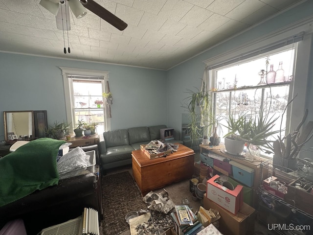 living room with ceiling fan and ornamental molding