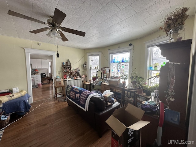 living room with ceiling fan and dark hardwood / wood-style flooring