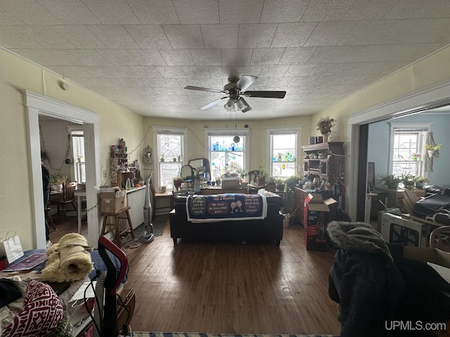 living room featuring ceiling fan and dark hardwood / wood-style flooring