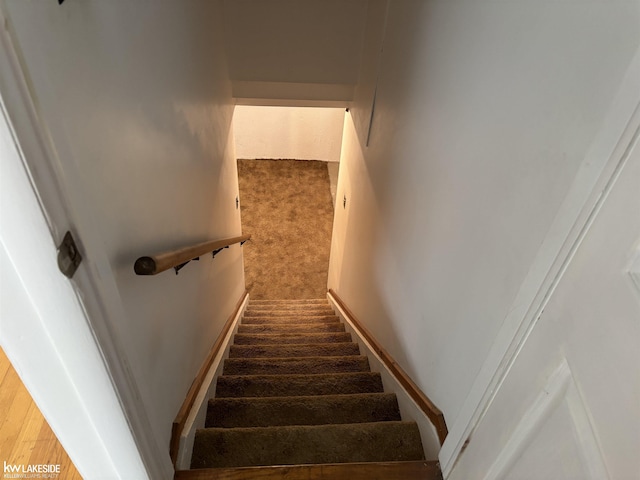 staircase featuring carpet floors