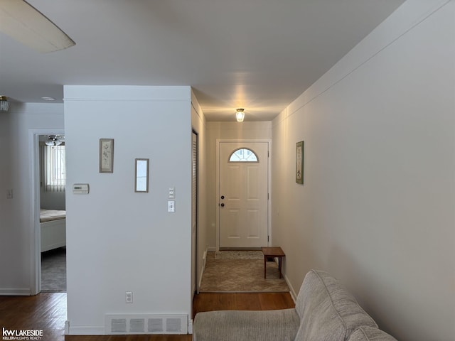 foyer with dark wood-type flooring and plenty of natural light